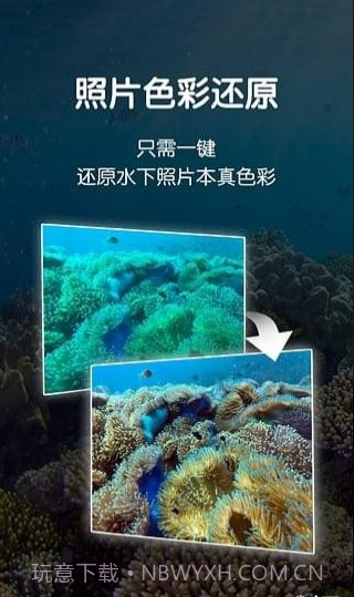 Dive+截图4 Dive+截图4