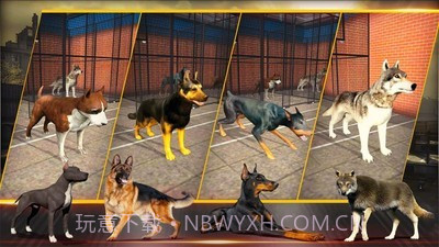 特别行动小组2截图1