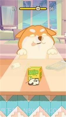躲猫猫小狗与小猫截图1