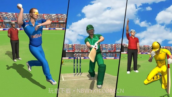 板球比赛冠军3D截图7