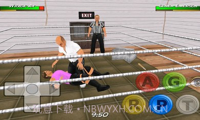 摔角革命3D修改版截图2