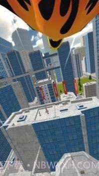 真实翼服飞行截图2