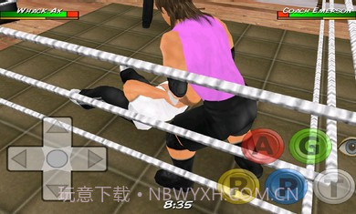 摔角革命3D修改版截图4