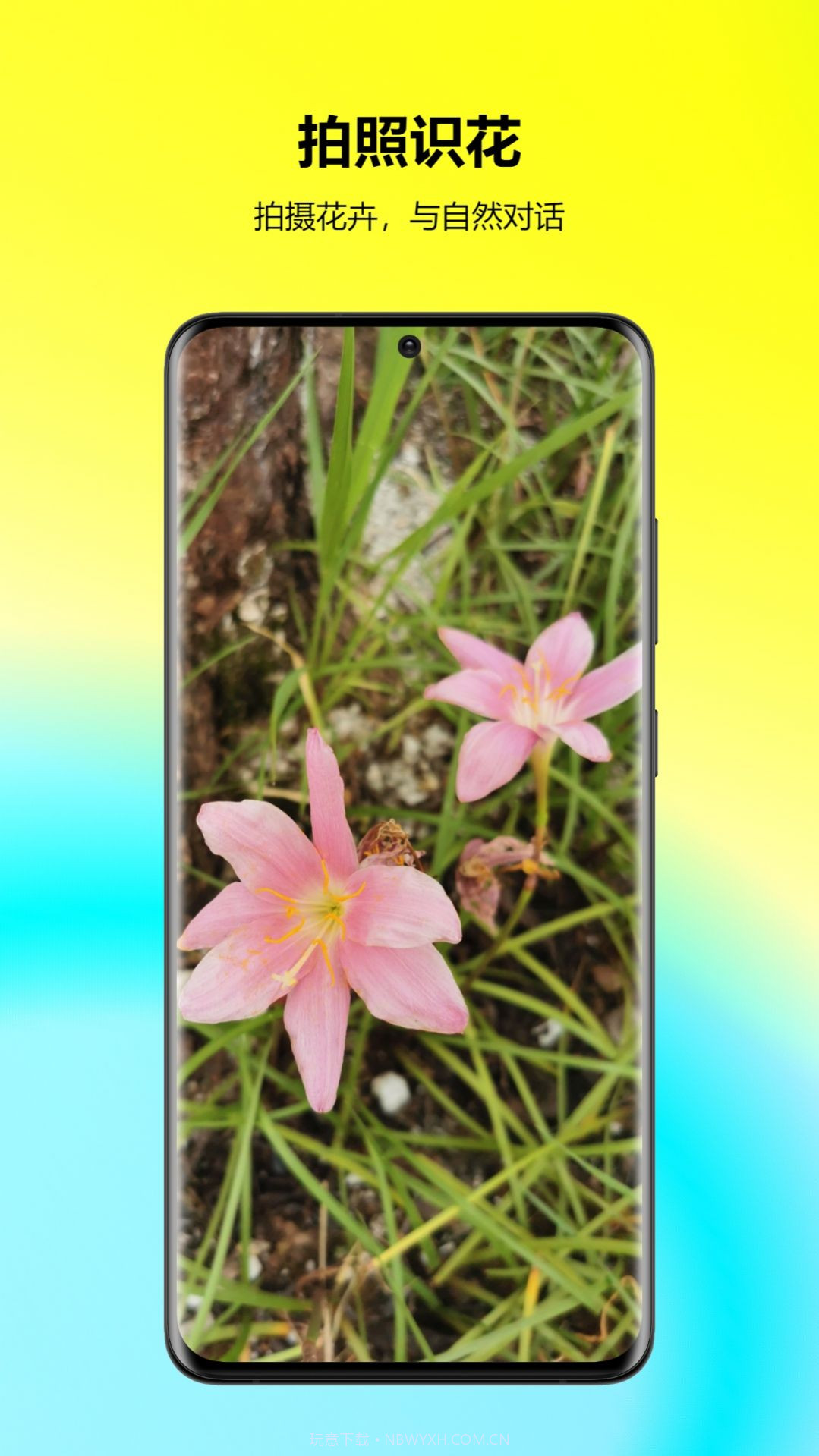 万能拍照识花截图1