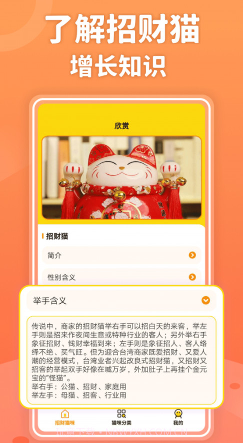 招财进猫截图2