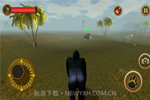 猩猩模拟器截图1 猩猩模拟器截图1