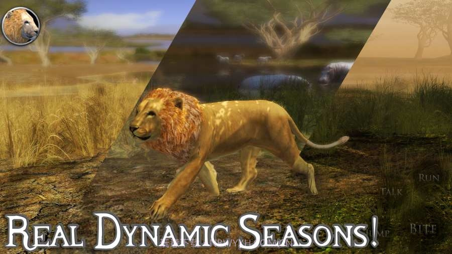 终极狮子模拟器无限经验官网版截图1 终极狮子模拟器无限经验官网版截图1