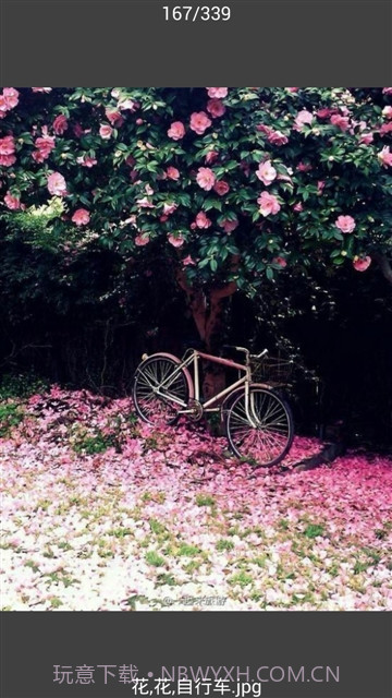 All图片批量下载截图3