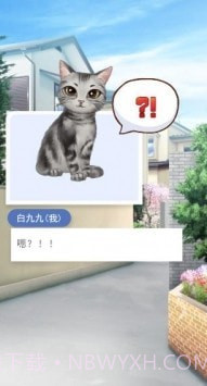 我的猫咪小女友截图2