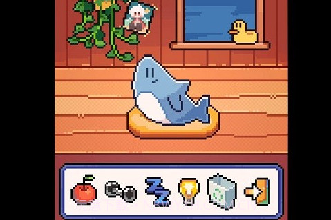 我的小鲨鱼最新版截图1