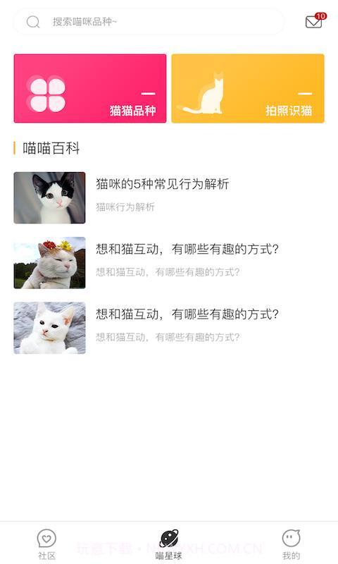 云养猫截图1 云养猫截图1