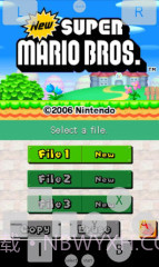 NDS模拟器:Dsoid截图1