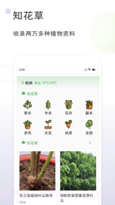 一花草截图1