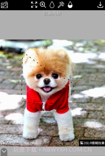 DSLR模糊效果截图1 DSLR模糊效果截图1