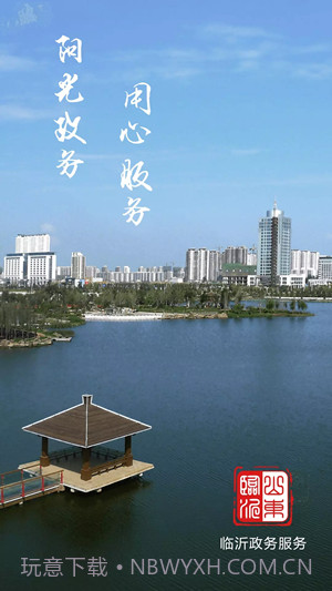 临沂政务服务截图1