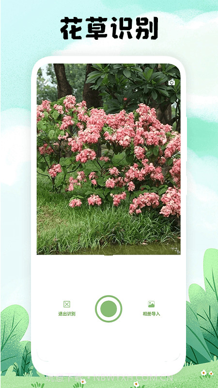 万物识图官网版截图3