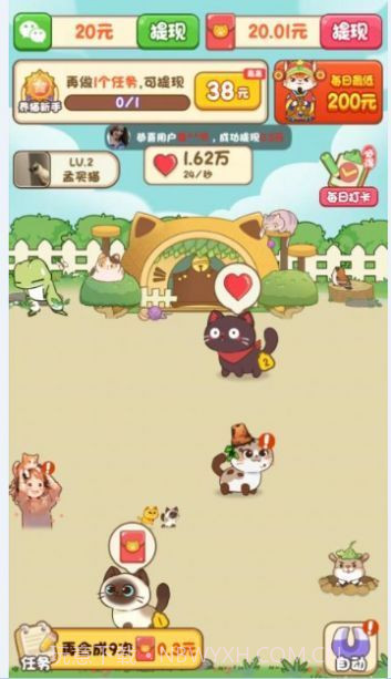 我家猫舍2023截图1