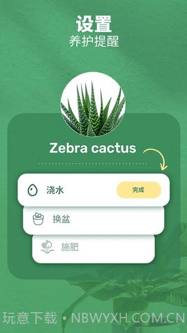 繁花盛开截图3 繁花盛开截图3
