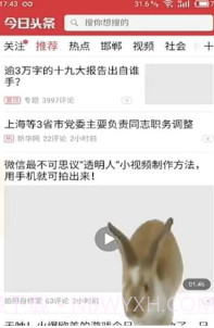 手机屏幕养兔子截图1 手机屏幕养兔子截图1