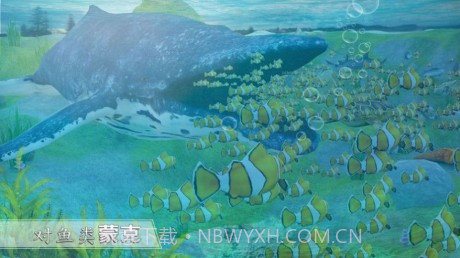 全民养鲸鱼最新版截图2