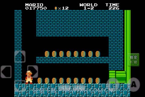 经典超级玛丽截图6