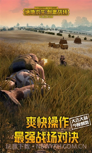 绝地求生刺激战场国际版截图3