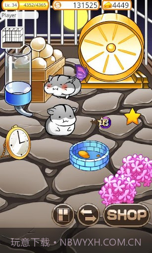 可爱的小仓鼠 Hamster Life截图4 可爱的小仓鼠 Hamster Life截图4