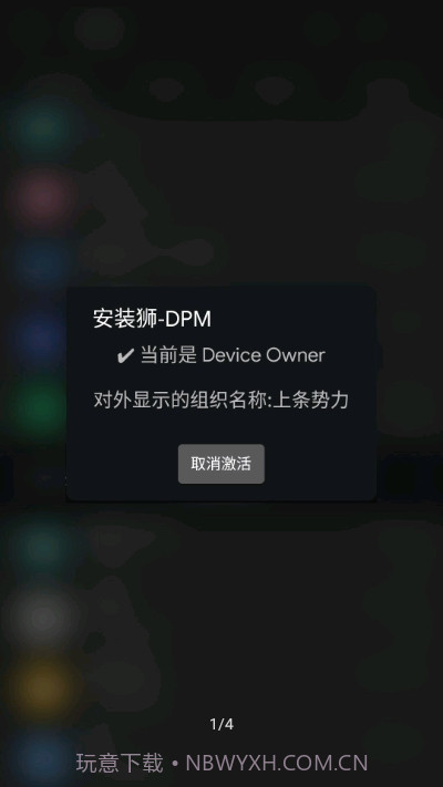 安装狮DPM截图1 安装狮DPM截图1