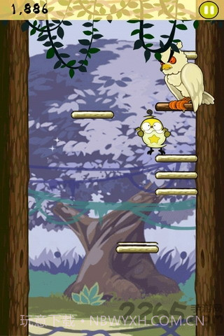 小鸟跳跳最新版截图3 小鸟跳跳最新版截图3