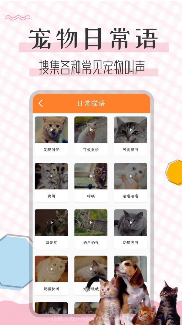 猫语翻译宝截图3 猫语翻译宝截图3