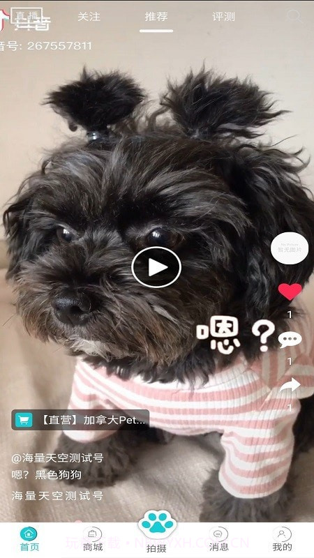 分分宠截图1 分分宠截图1