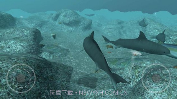 真正的鲨鱼模拟器截图5