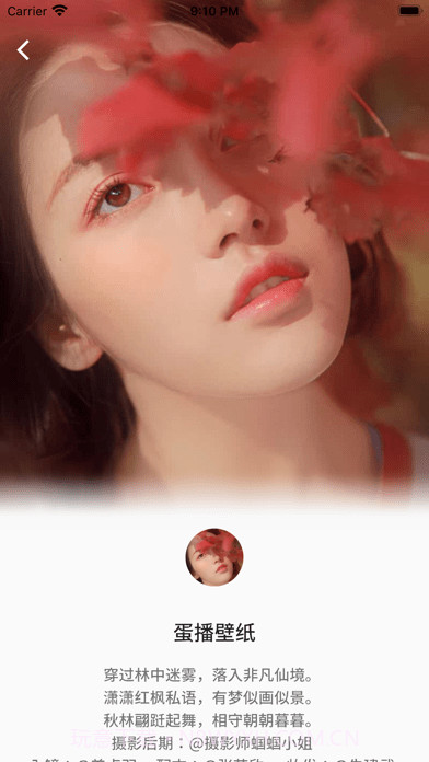 蛋播壁纸截图4