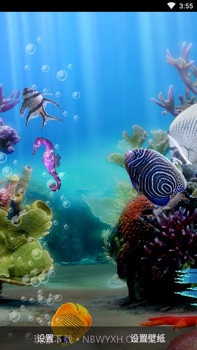 真正的水族馆Therealaquarium动态壁纸截图4 真正的水族馆Therealaquarium动态壁纸截图4