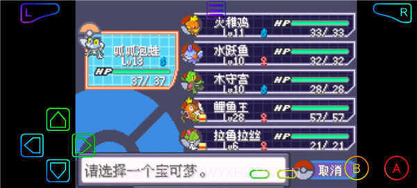 口袋妖怪绿宝石小智版截图2