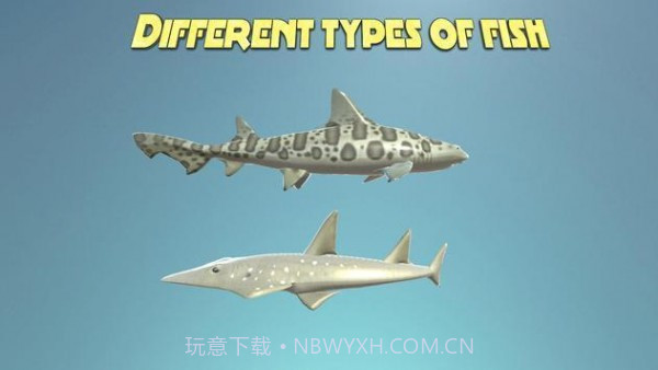 真正的鲨鱼模拟器截图1