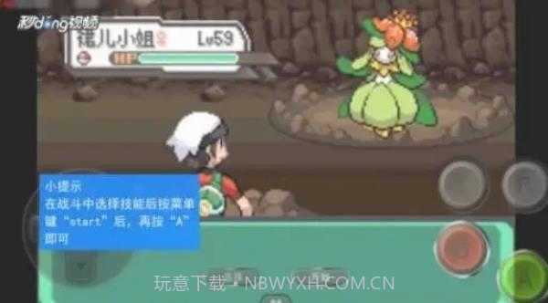 口袋妖怪绿宝石金手指截图3 口袋妖怪绿宝石金手指截图3