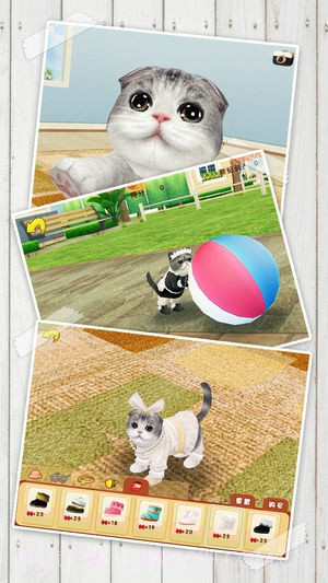 心动小猫无限钻石截图1 心动小猫无限钻石截图1