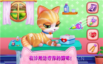 我的喵星朋友截图2