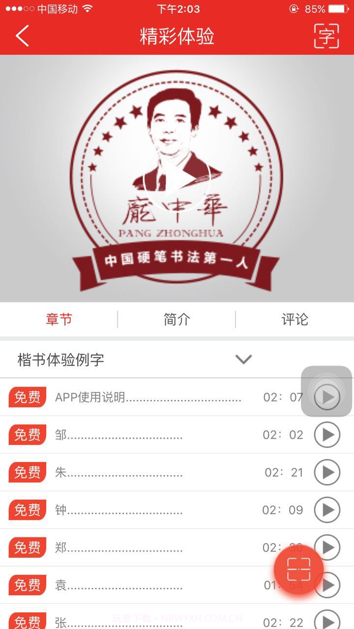 庞中华书法截图3 庞中华书法截图3