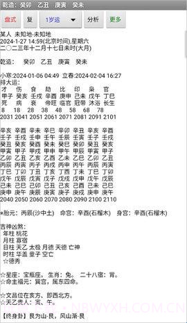 玄奥八字8.0安卓(八字算命免费测八字) 高级直装版截图3 玄奥八字8.0安卓(八字算命免费测八字) 高级直装版截图3