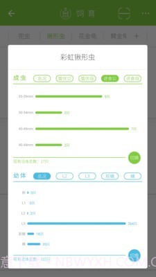 甲虫饲育者截图4 甲虫饲育者截图4