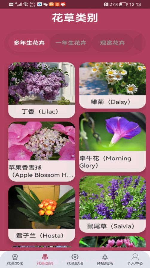 花草妙识截图4 花草妙识截图4