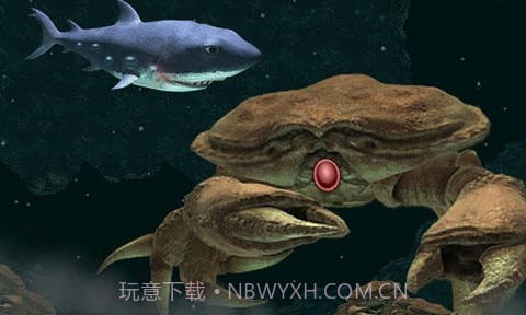 嗜血狂鲨2截图2 嗜血狂鲨2截图2