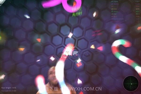 美金贪吃蛇截图3