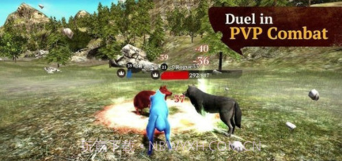 The Wolf截图1 The Wolf截图1