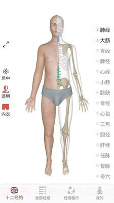 3D BODY(经络穴位3D)截图1