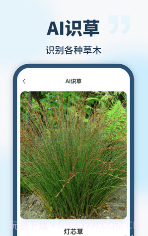 AI智能助手截图4