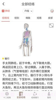 3D BODY(经络穴位3D)截图3
