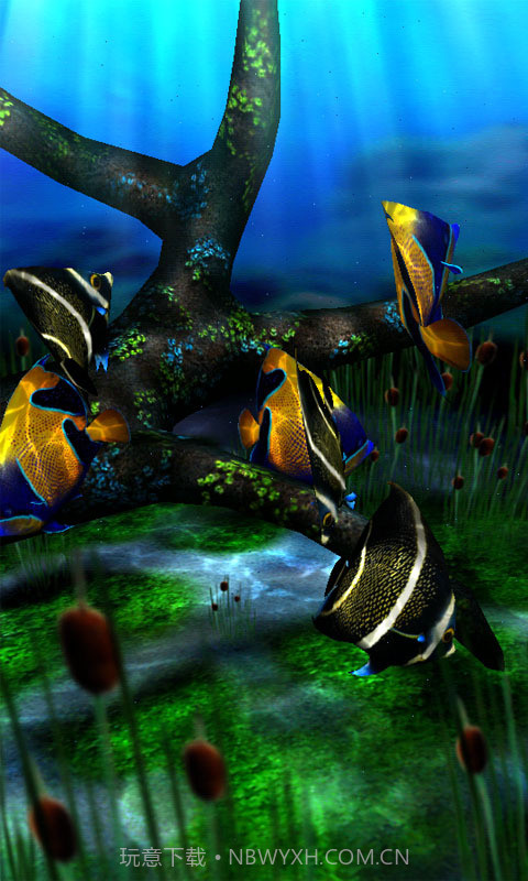 3d水族馆动态壁纸截图4
